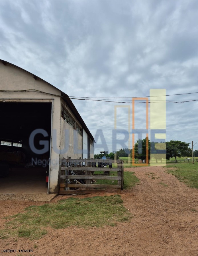 Fazenda, 85 hectares - Foto 21