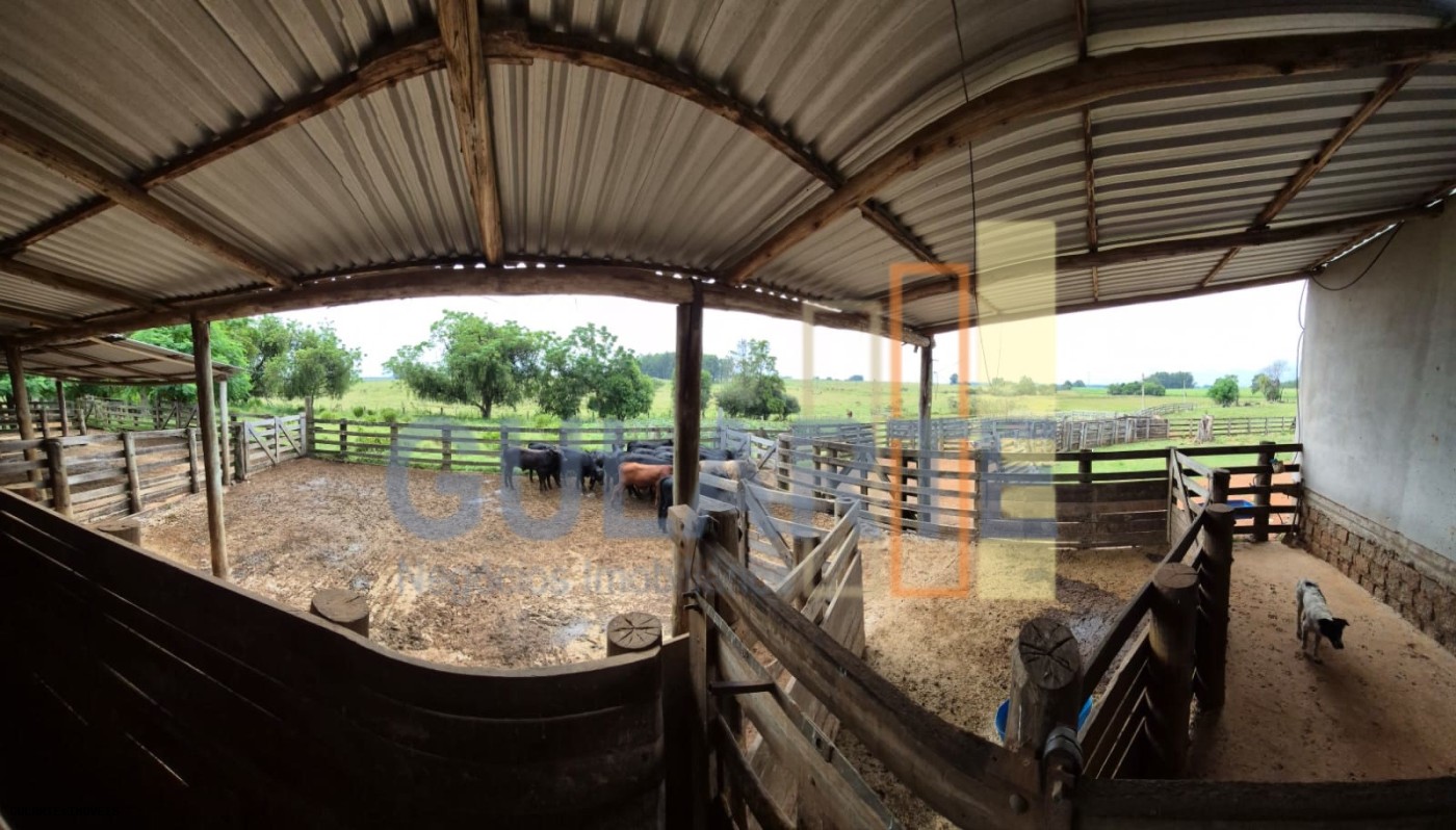 Fazenda, 85 hectares - Foto 19