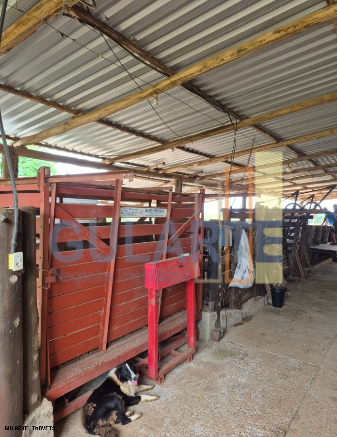 Fazenda, 85 hectares - Foto 22