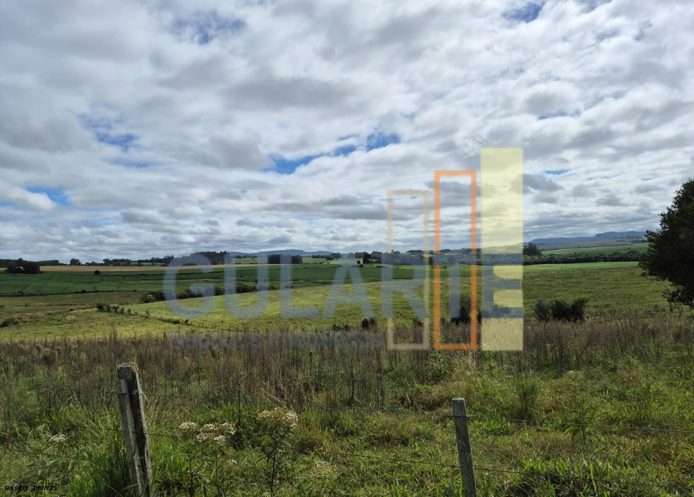 Fazenda, 293 hectares - Foto 1