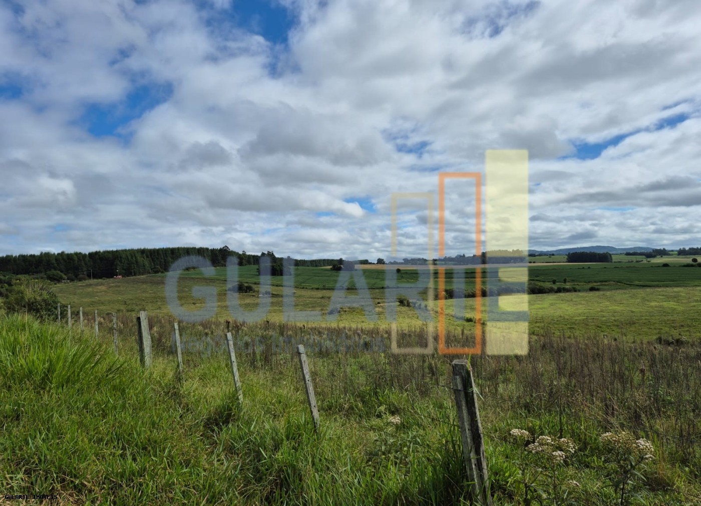 Fazenda, 293 hectares - Foto 3
