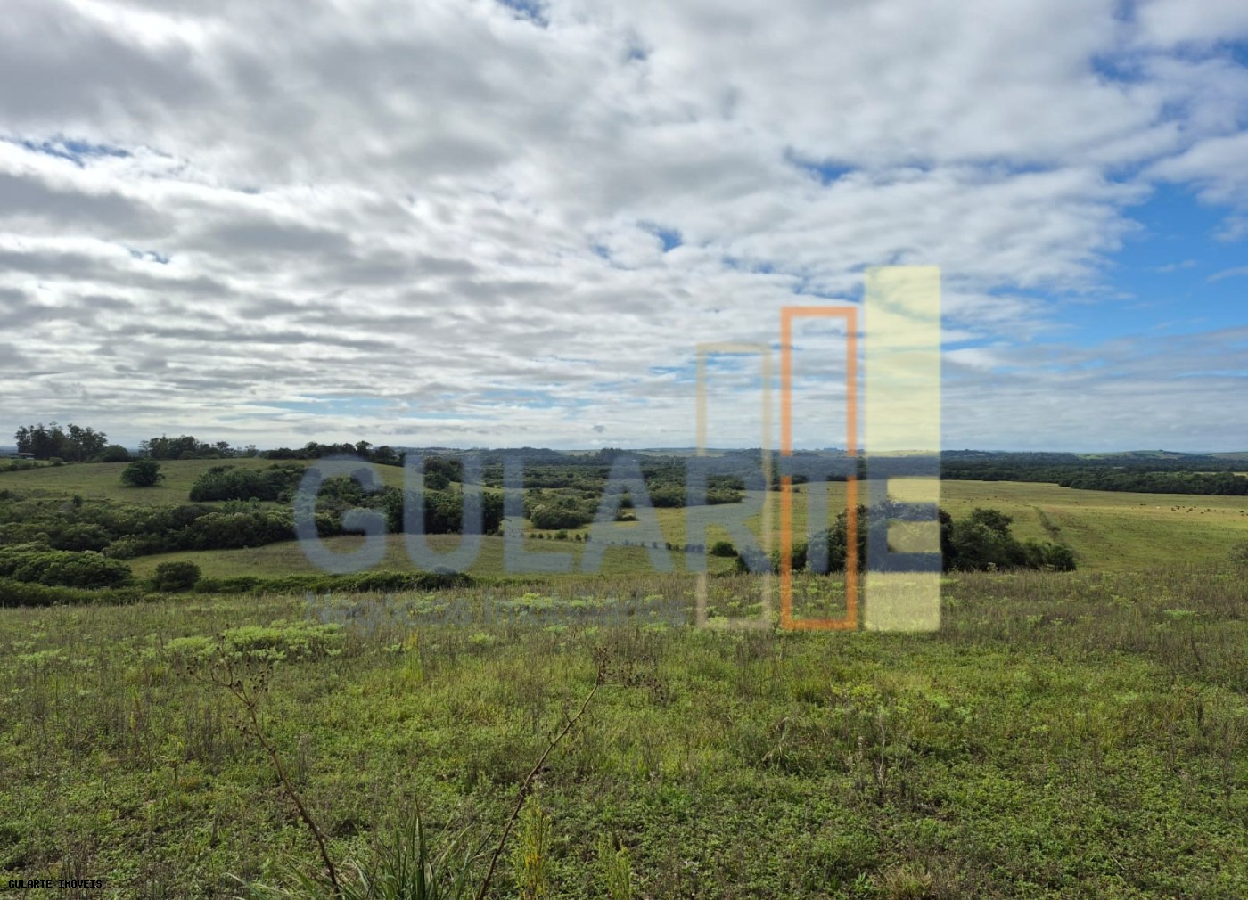 Fazenda, 293 hectares - Foto 4