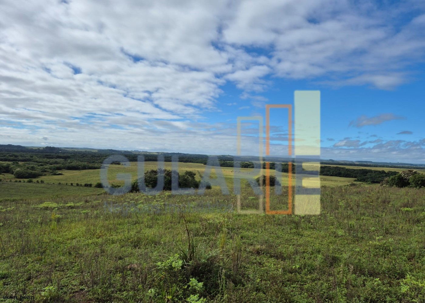 Fazenda, 293 hectares - Foto 6