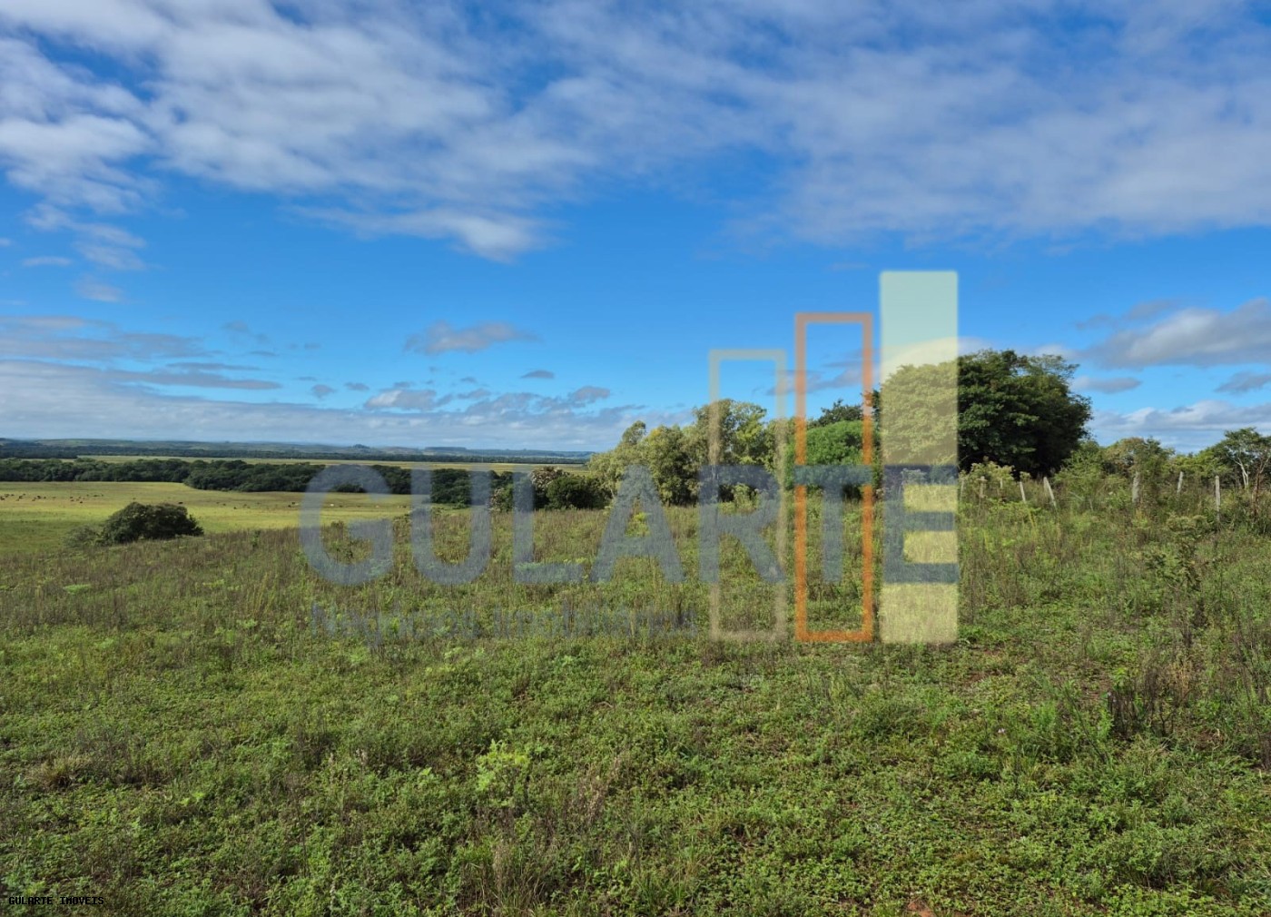 Fazenda, 293 hectares - Foto 5