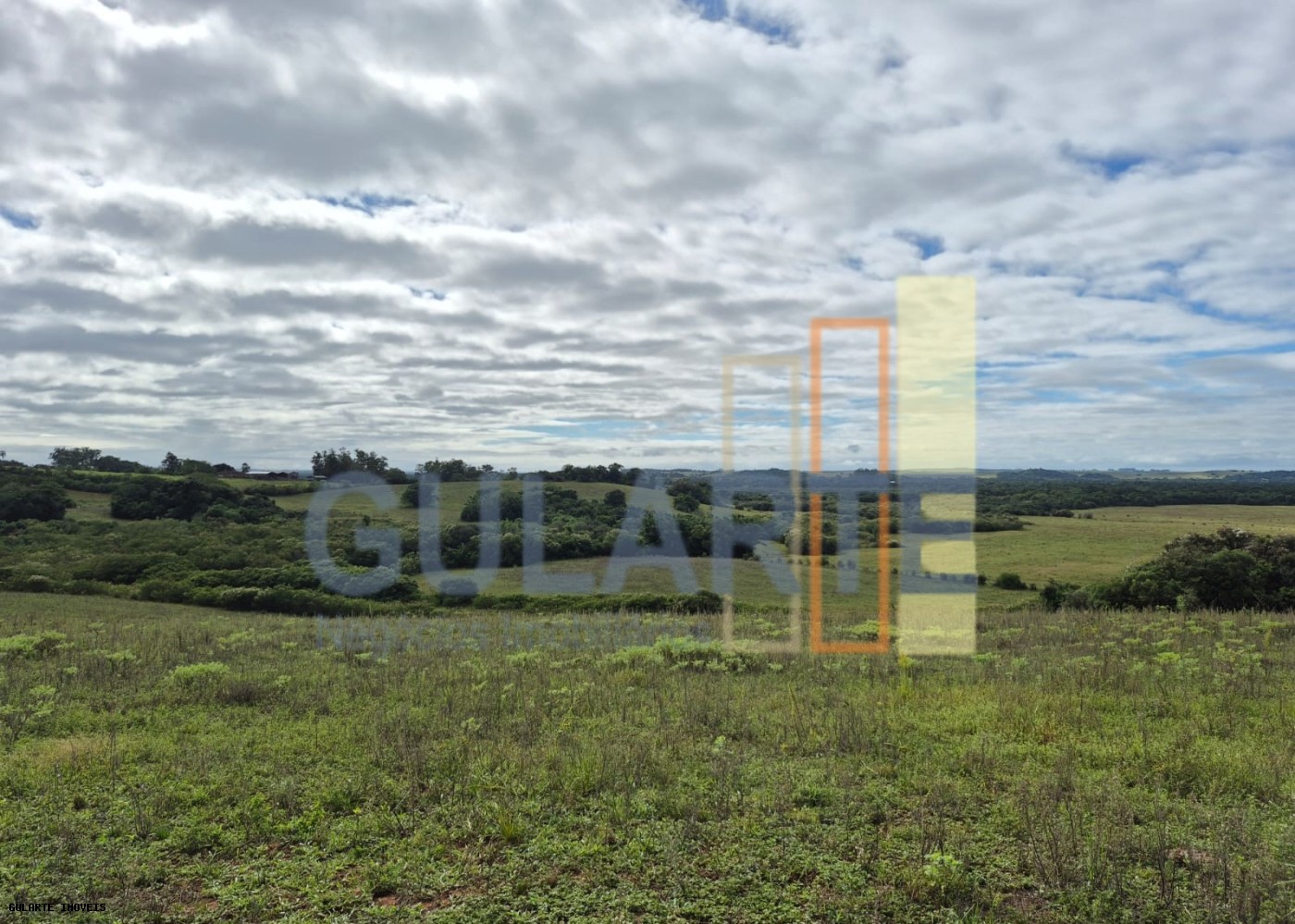 Fazenda, 293 hectares - Foto 9