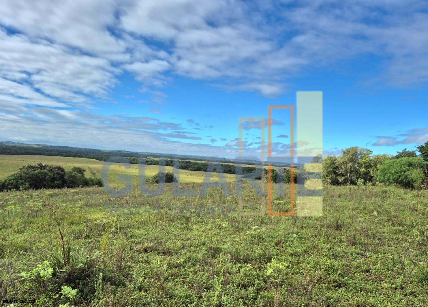 Fazenda, 293 hectares - Foto 8