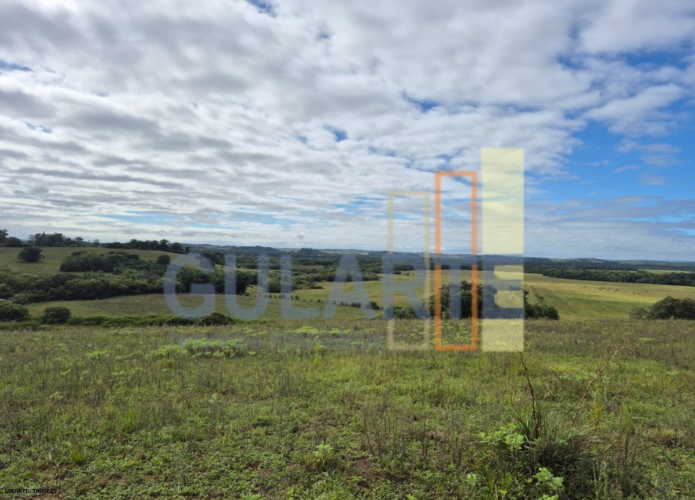 Fazenda, 293 hectares - Foto 7