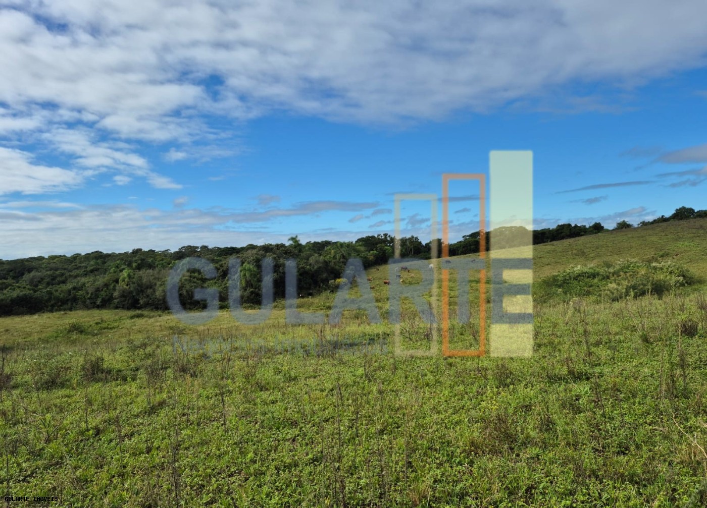 Fazenda, 293 hectares - Foto 10