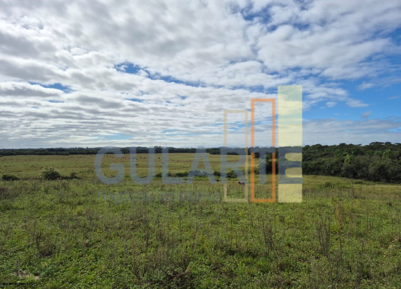 Fazenda, 293 hectares - Foto 11