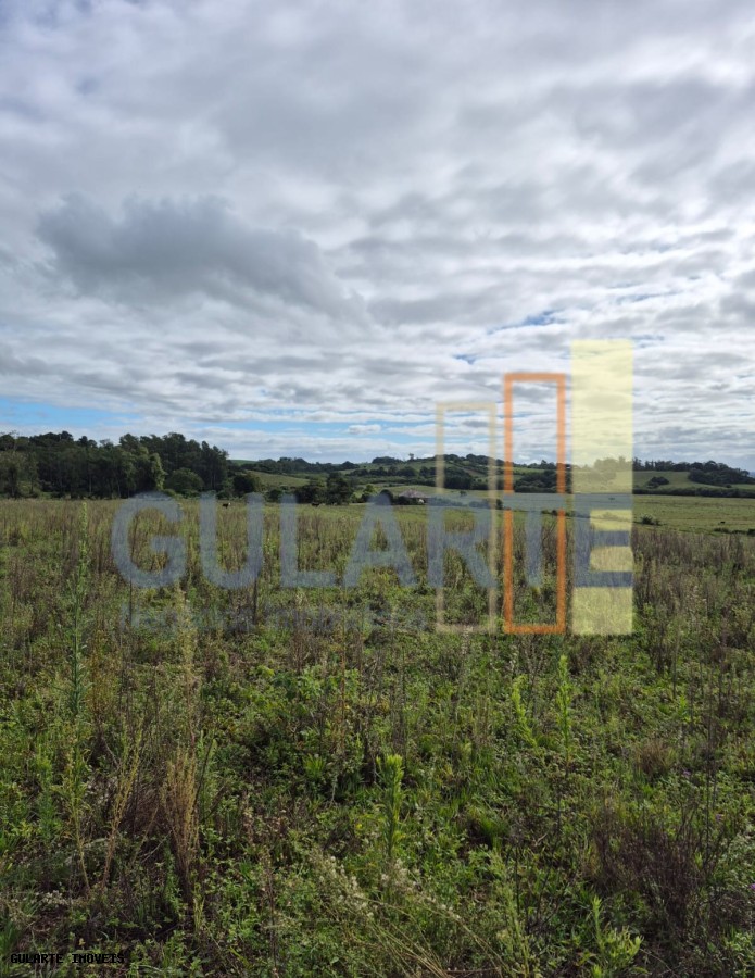Fazenda, 293 hectares - Foto 13