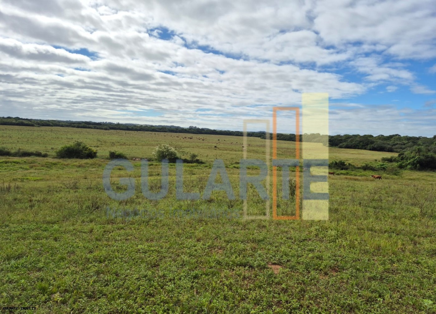 Fazenda, 293 hectares - Foto 12