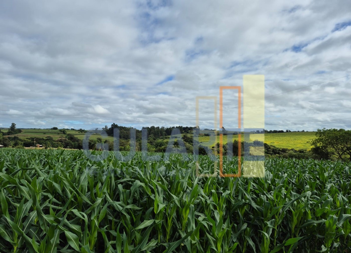 Fazenda, 293 hectares - Foto 16