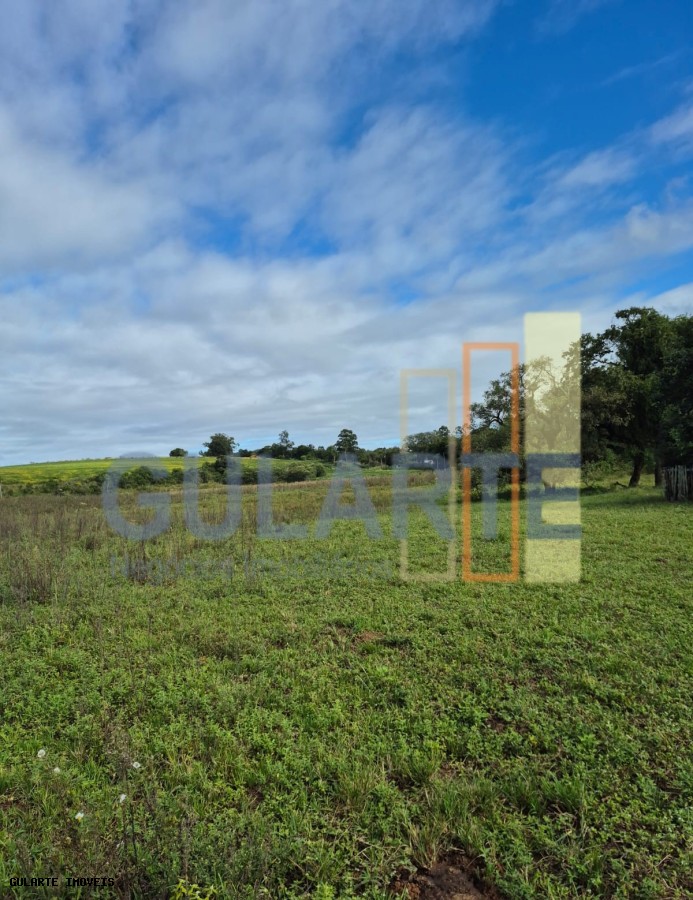 Fazenda, 293 hectares - Foto 15