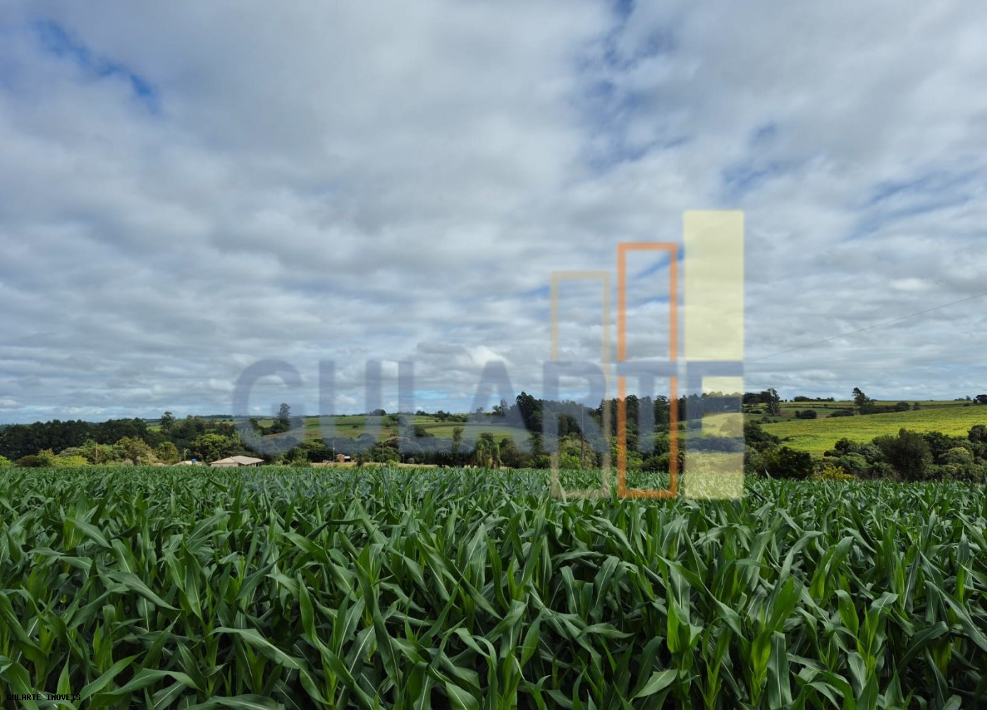 Fazenda, 293 hectares - Foto 19
