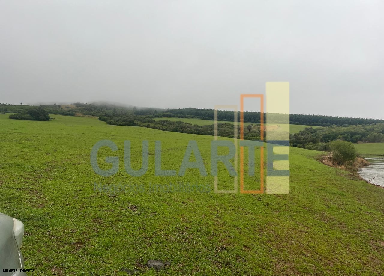 Chácara, 910 hectares - Foto 2