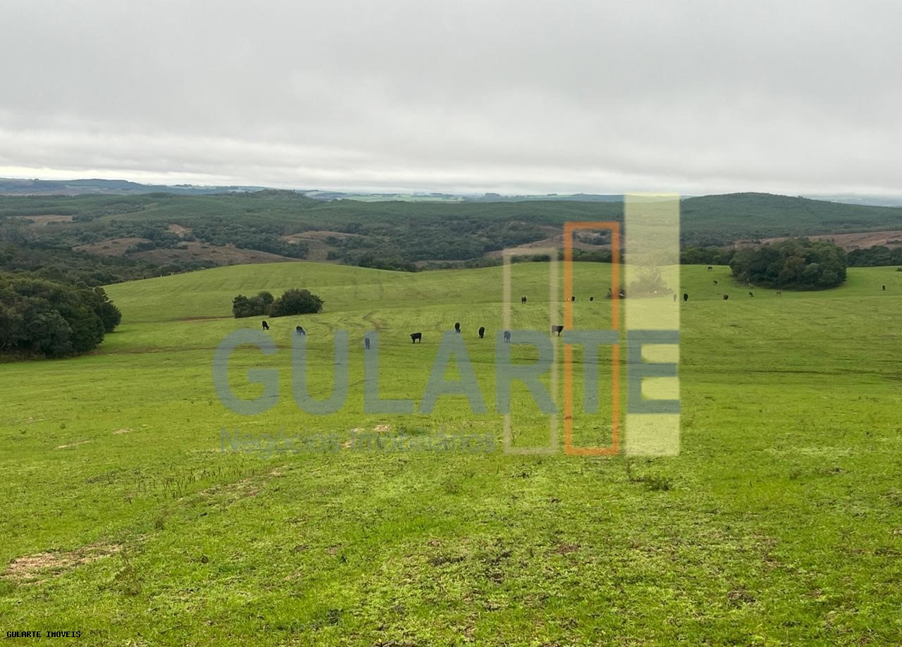 Chácara, 910 hectares - Foto 3