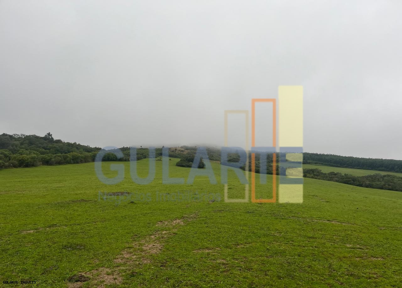 Chácara, 910 hectares - Foto 6