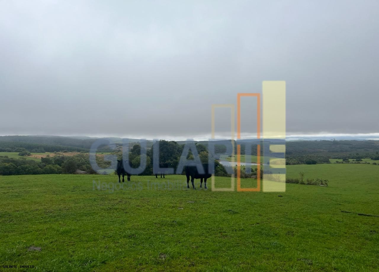 Chácara, 910 hectares - Foto 7