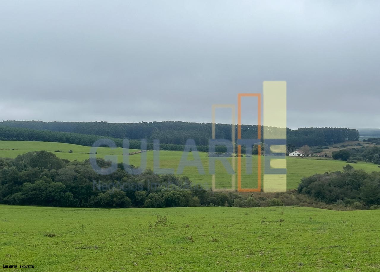 Chácara, 910 hectares - Foto 5