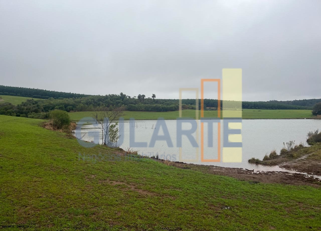 Chácara, 910 hectares - Foto 4