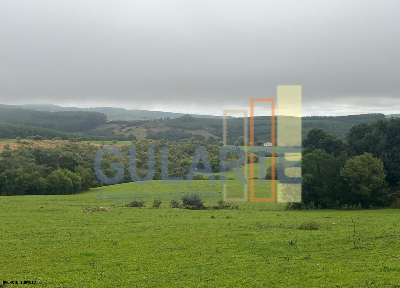 Chácara, 910 hectares - Foto 8