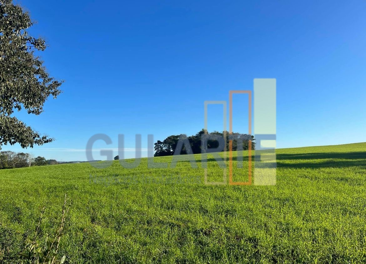 Chácara, 910 hectares - Foto 1