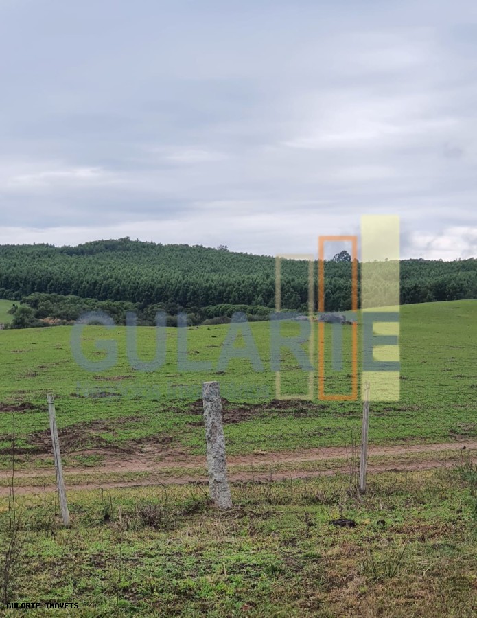 Chácara, 910 hectares - Foto 11