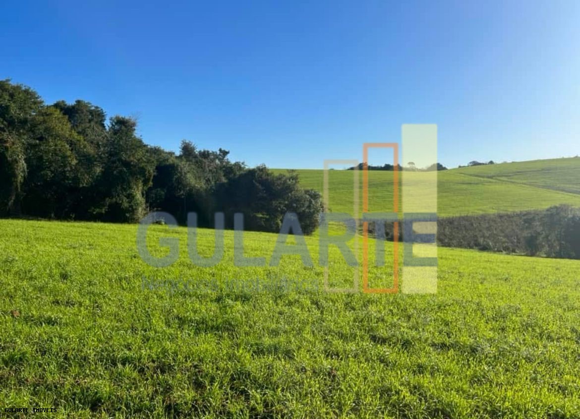 Chácara, 910 hectares - Foto 10