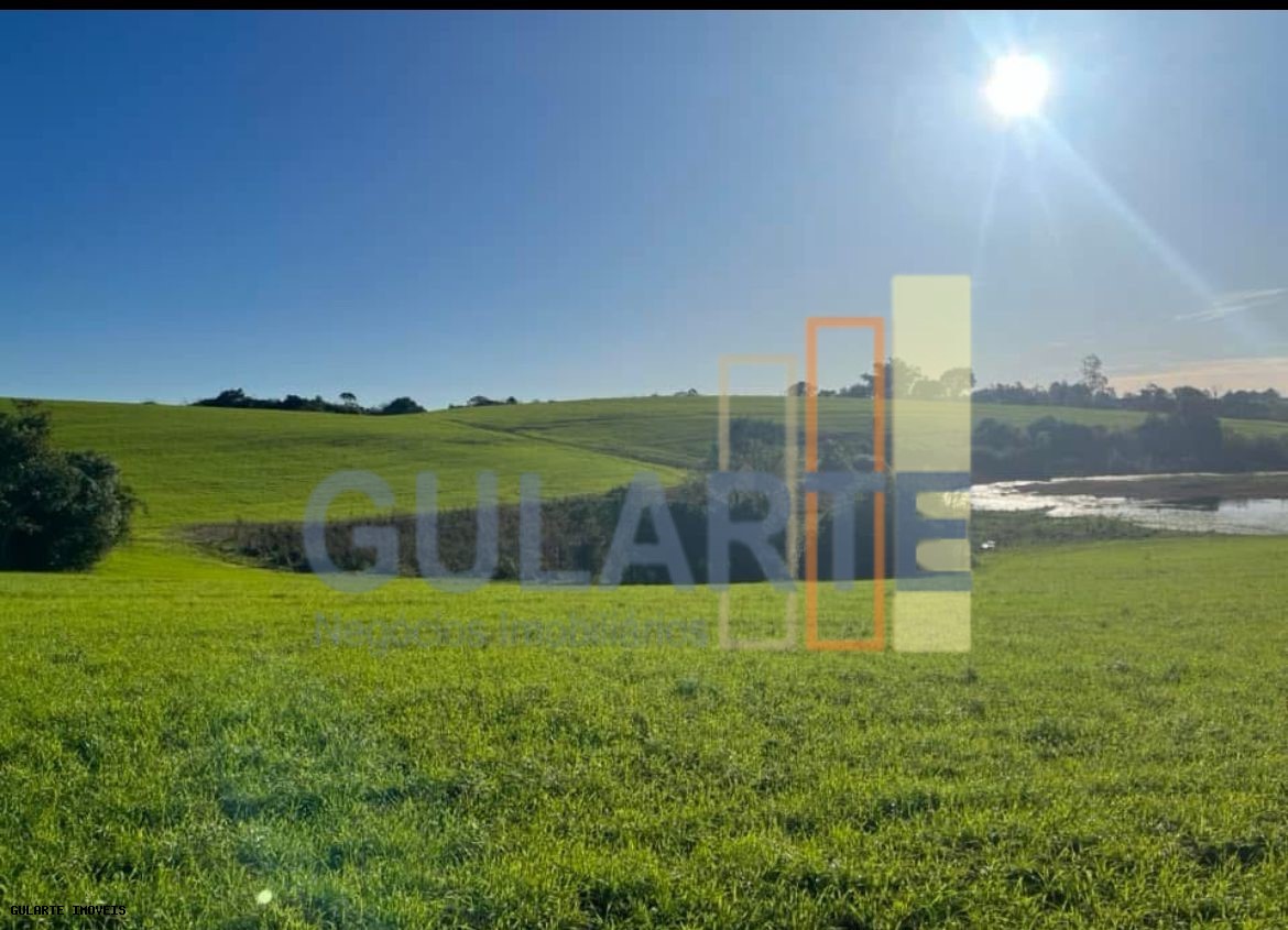 Chácara, 910 hectares - Foto 9