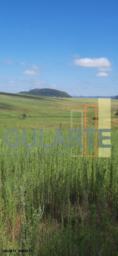 Chácara, 7 hectares - Foto 13