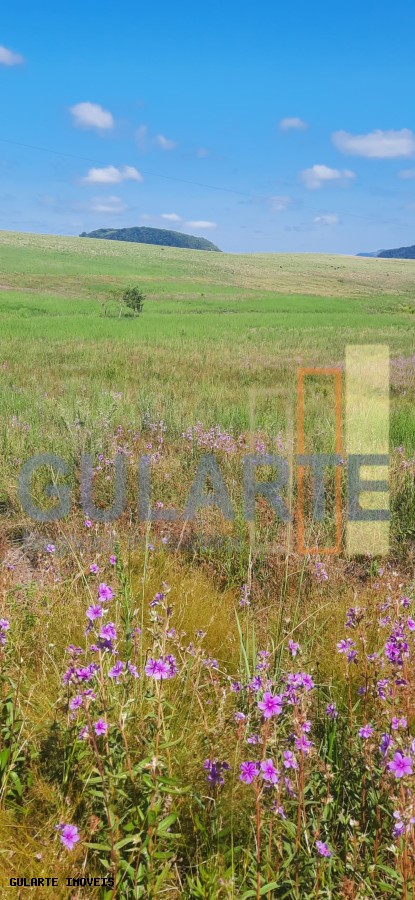 Chácara, 7 hectares - Foto 18
