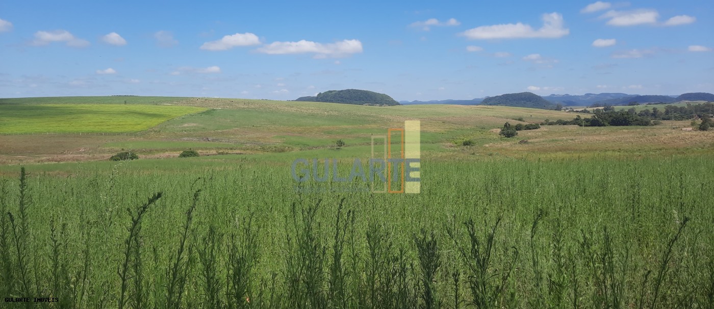 Chácara, 7 hectares - Foto 1