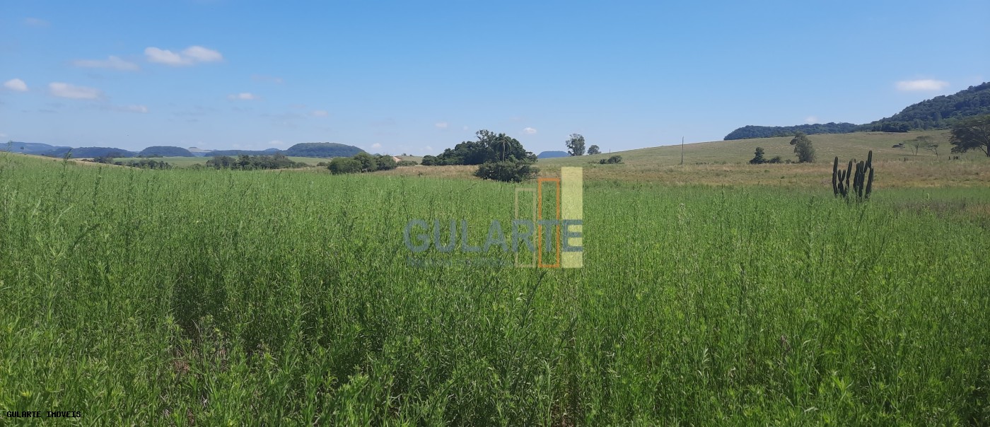 Chácara, 7 hectares - Foto 16