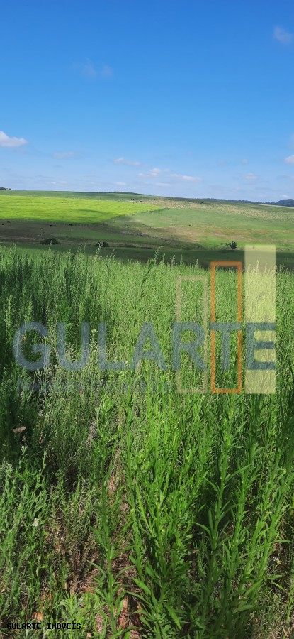 Chácara, 7 hectares - Foto 43