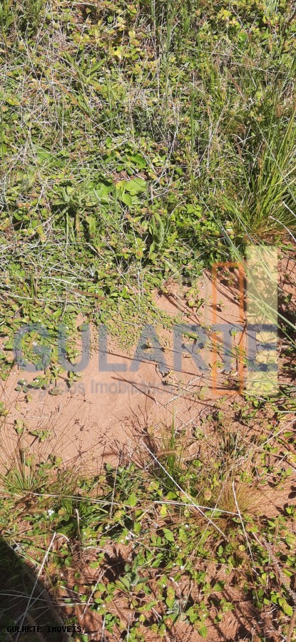 Chácara, 7 hectares - Foto 44