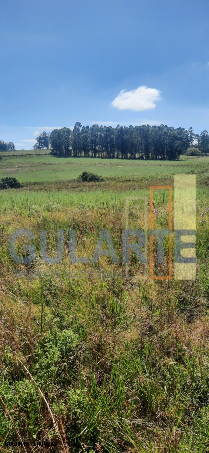 Chácara, 7 hectares - Foto 45