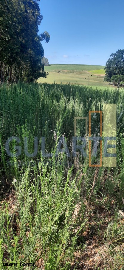 Chácara, 7 hectares - Foto 46