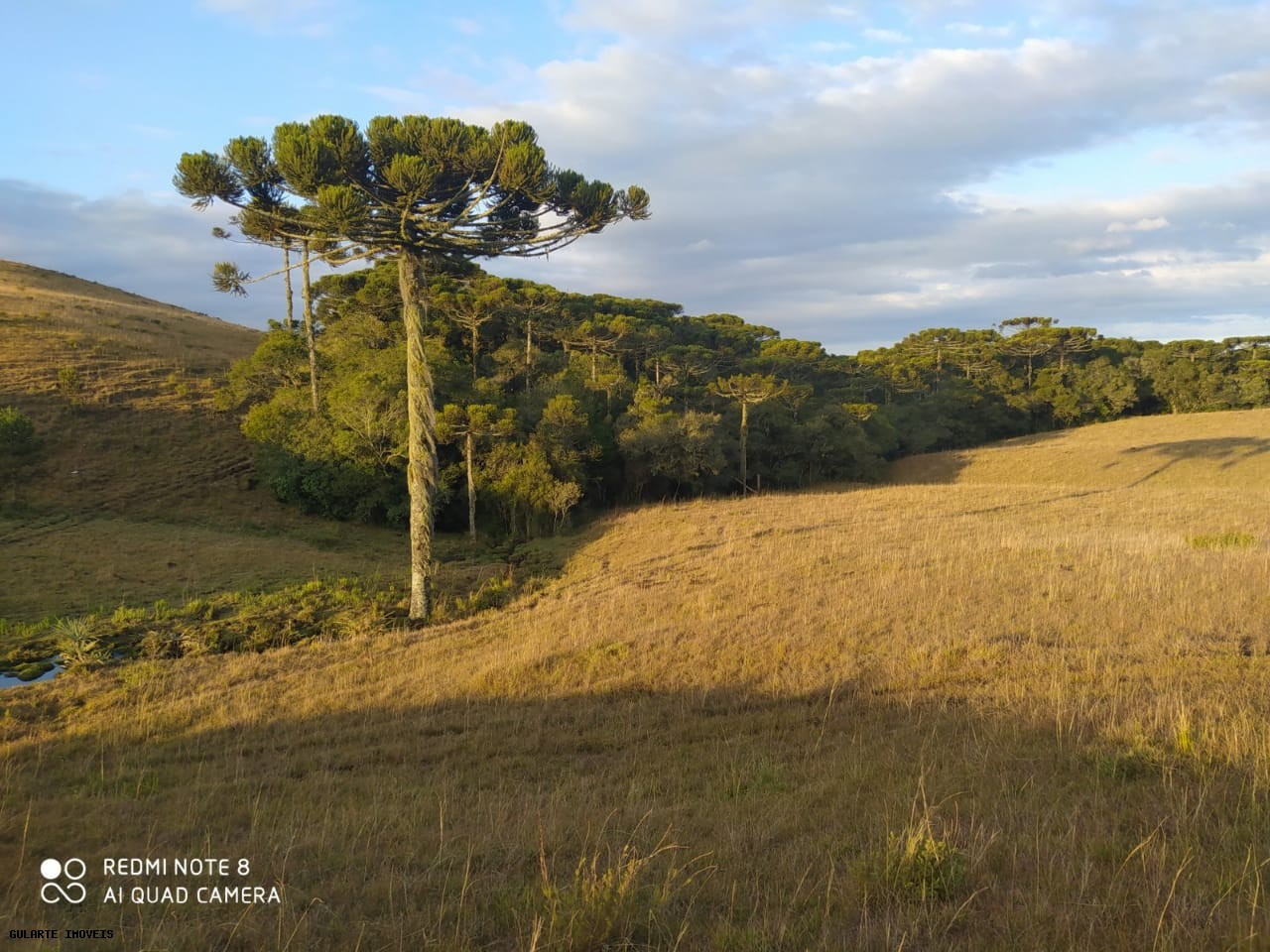 Terreno, 12 hectares - Foto 2