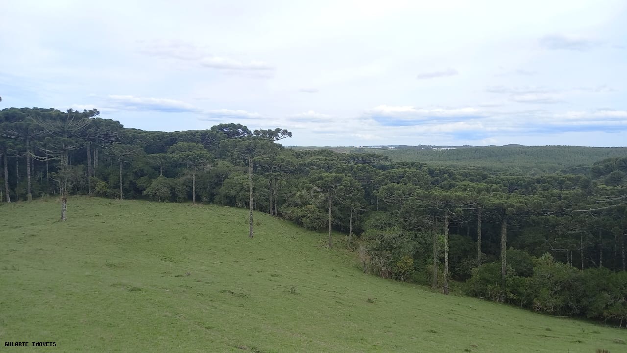 Terreno, 12 hectares - Foto 3