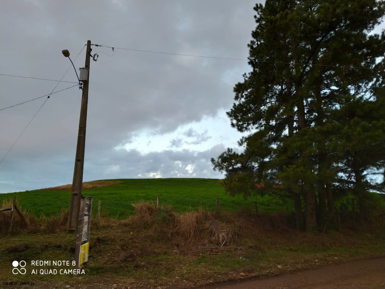 Terreno, 12 hectares - Foto 6