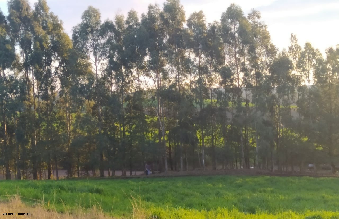 Terreno, 12 hectares - Foto 10