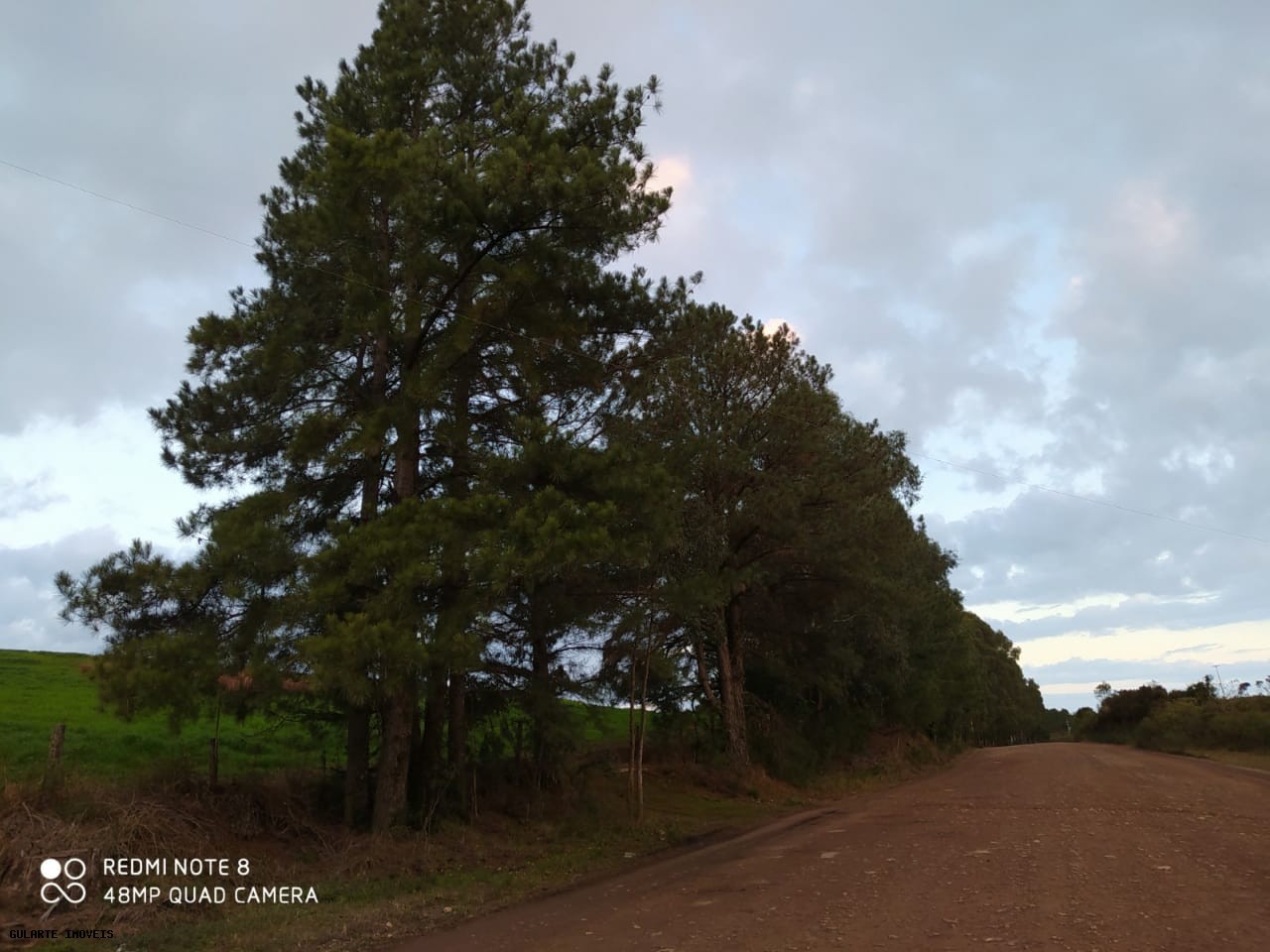 Terreno, 12 hectares - Foto 11