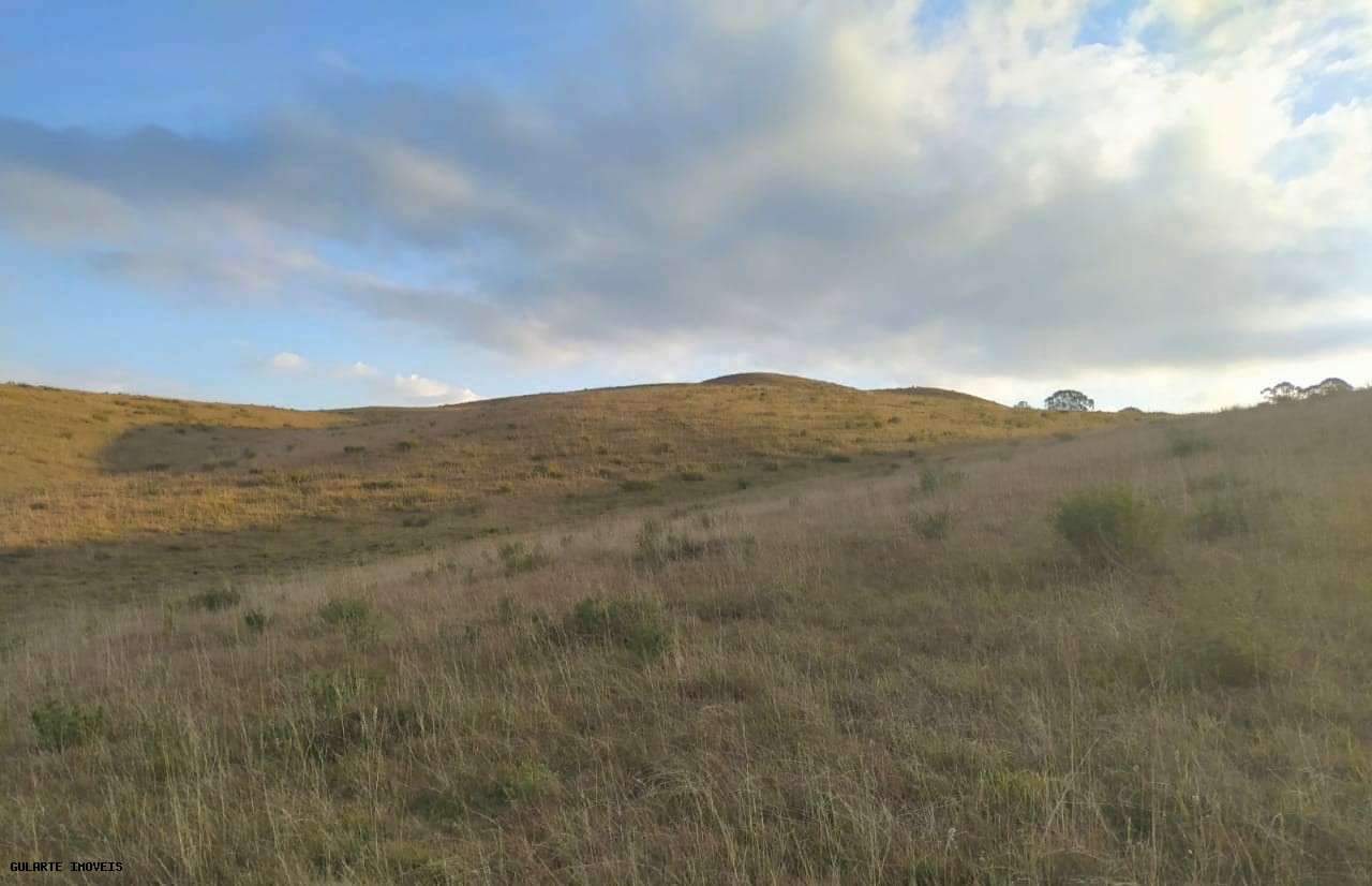 Terreno, 12 hectares - Foto 14