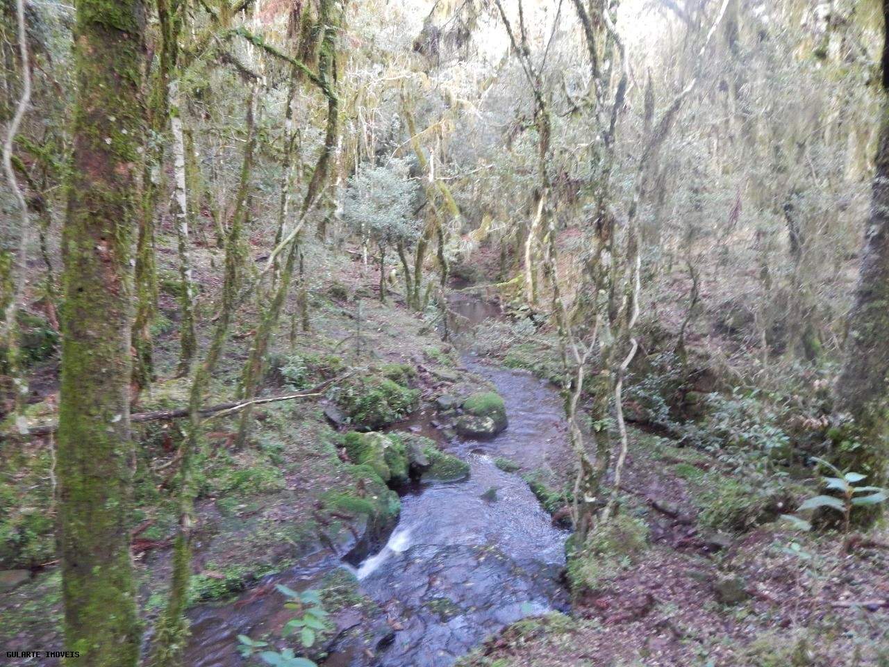 Terreno, 12 hectares - Foto 15