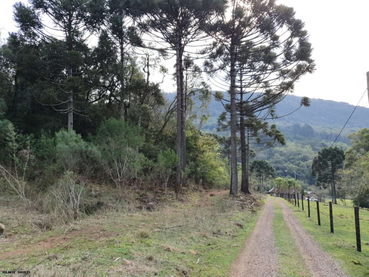 Terreno, 14 hectares - Foto 3