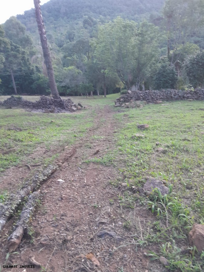 Terreno, 14 hectares - Foto 4