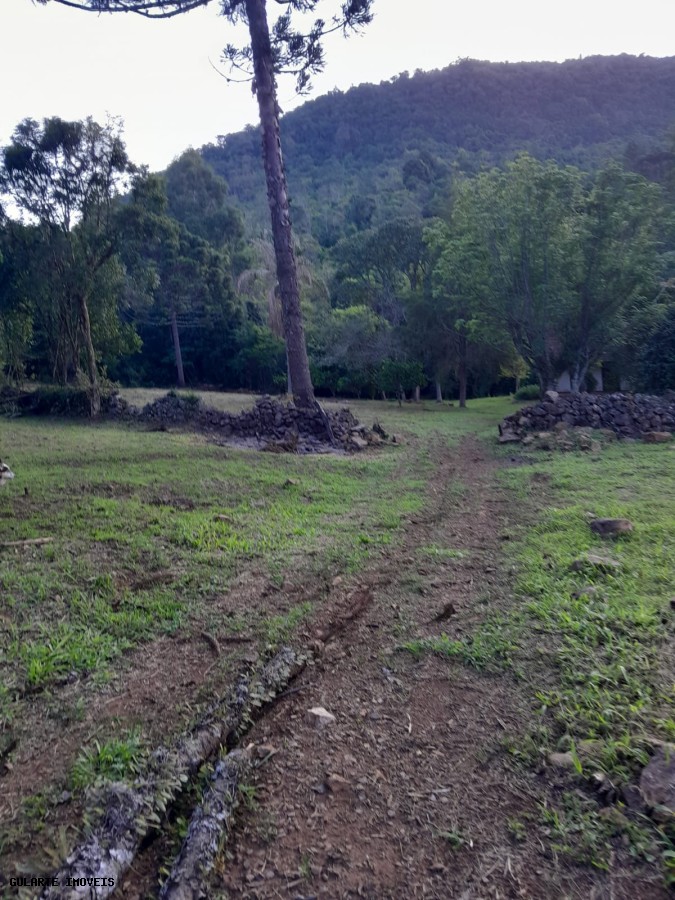 Terreno, 14 hectares - Foto 7