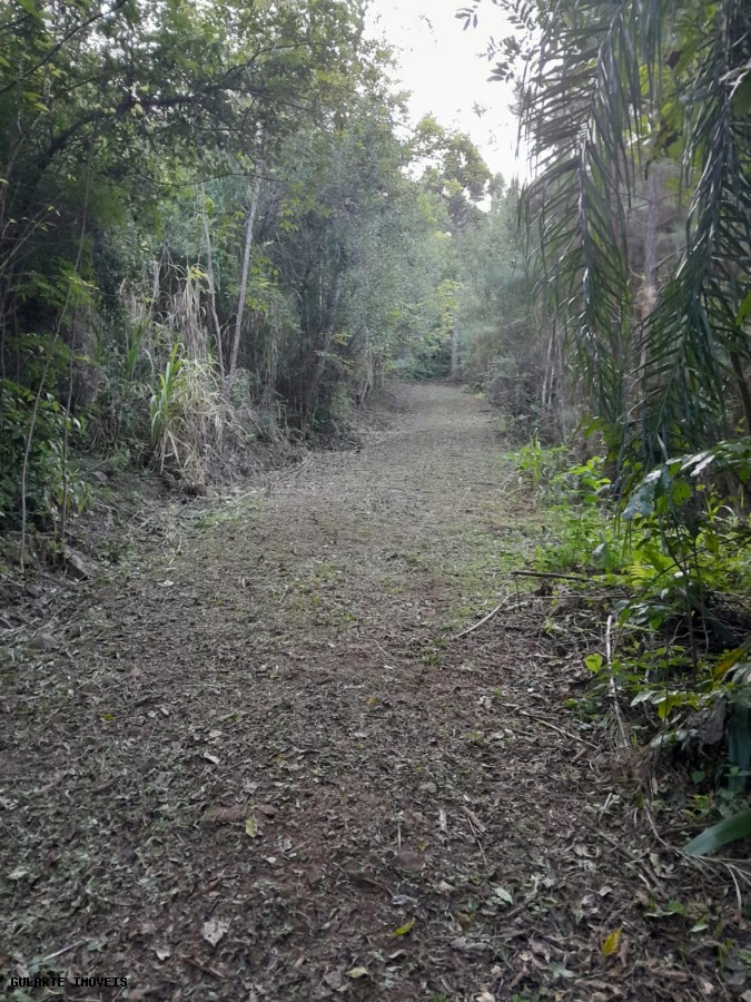 Terreno, 14 hectares - Foto 8