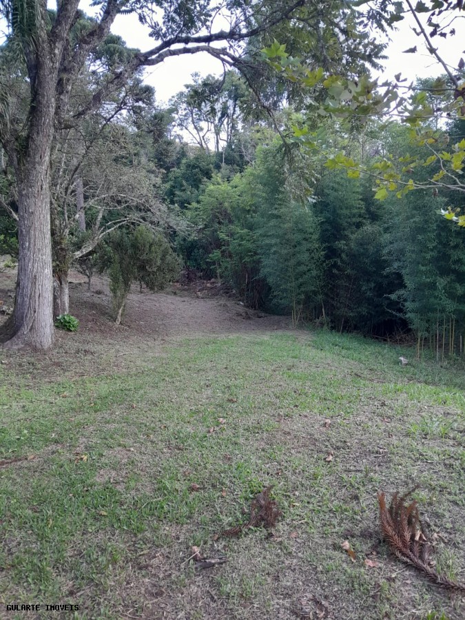 Terreno, 14 hectares - Foto 10
