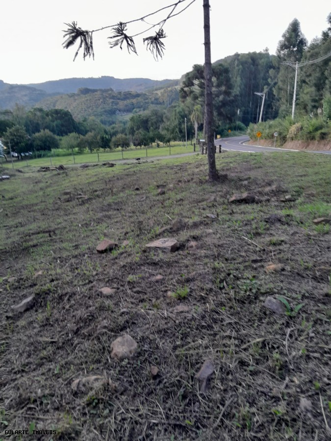 Terreno, 14 hectares - Foto 11